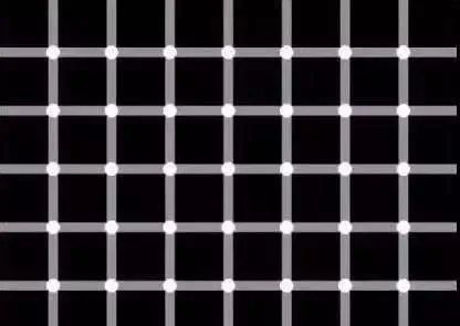 1684927436302557.jpg 1684927436302557.jpg