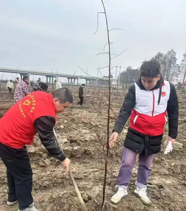 1709543372713199.png 1709543372713199.png